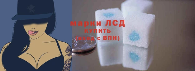 стафф Нея