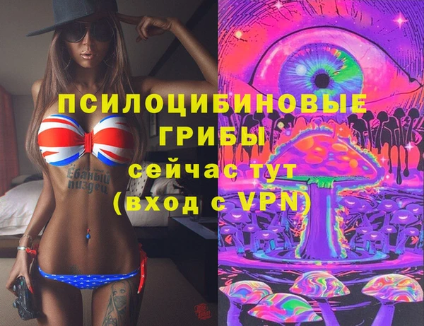 mdpv Надым