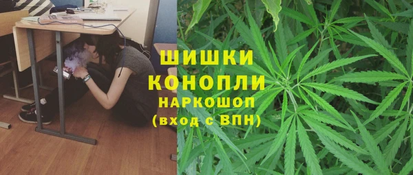 трава Наволоки